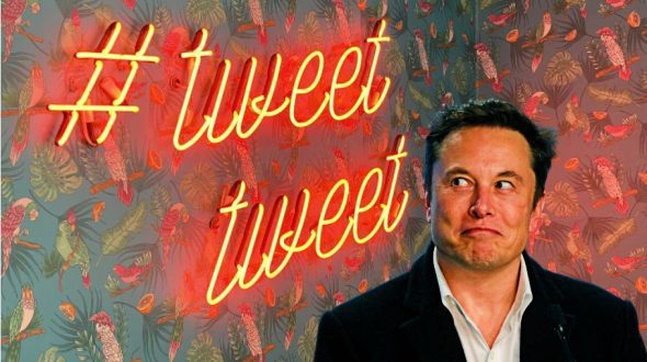 ¿Qué va a hacer Elon Musk con Twitter?