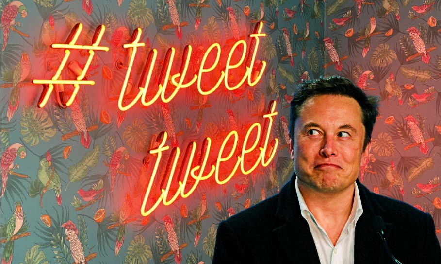 ¿Qué va a hacer Elon Musk con Twitter?