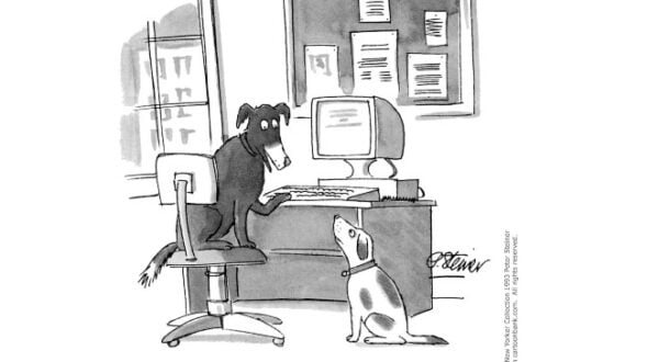 En Internet, nadie sabe si eres humano